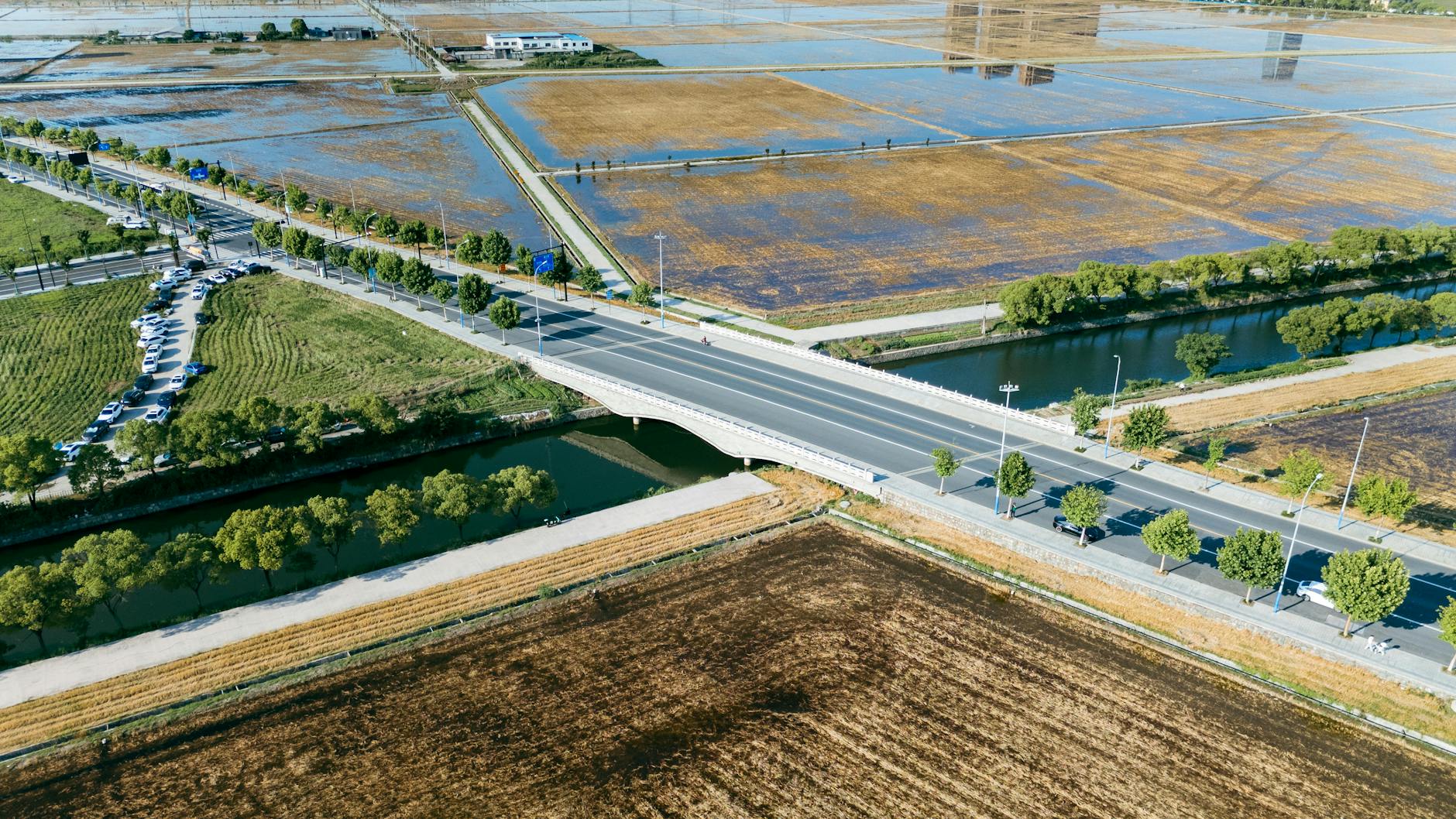 AI Solutions Enhancing Sustainable Agriculture